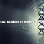 Question : Combien de temps dure l’ail noir